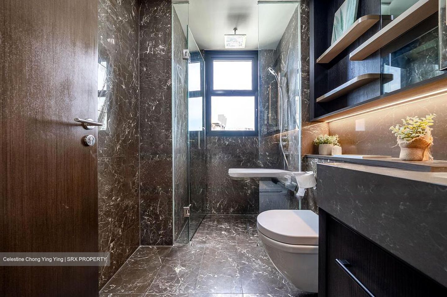 Neu At Novena (D11), Apartment #450590521